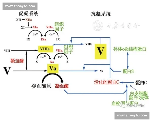 巨星效应驱动下的产业变革与社会影响深度解析机制逻辑与未来趋势研究